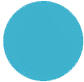blue circle icon